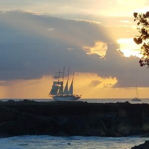 Meet your Posher, Dalton